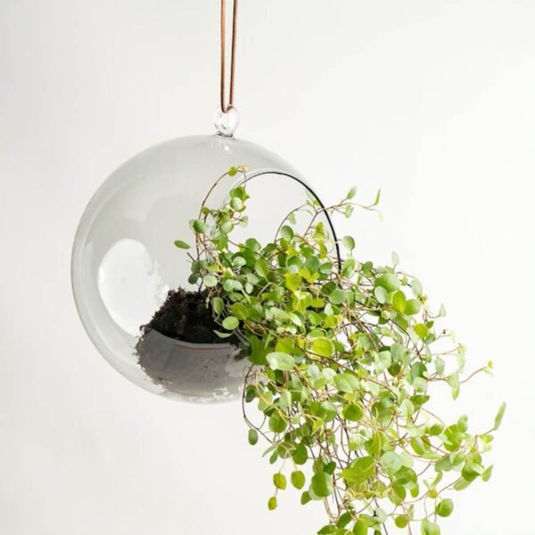 Dekoratiivne sisustuspall taimedele/küünaldele (hall)